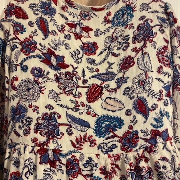 Penelope Rose Boho Floral Long Sleeve Dress Large Fairy Garden Cottage Coquette - Picture 7 of 9